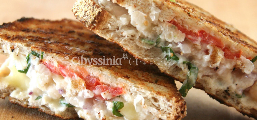 Vegetable & cheese Panini